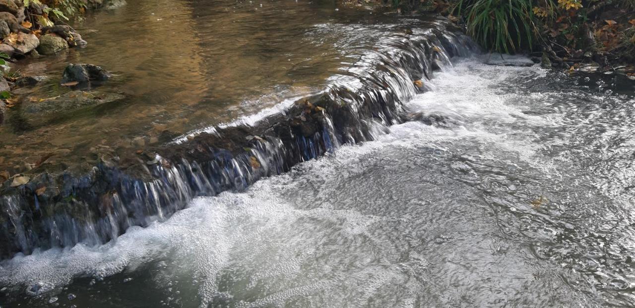 Live Nature Bihac Bagian luar foto