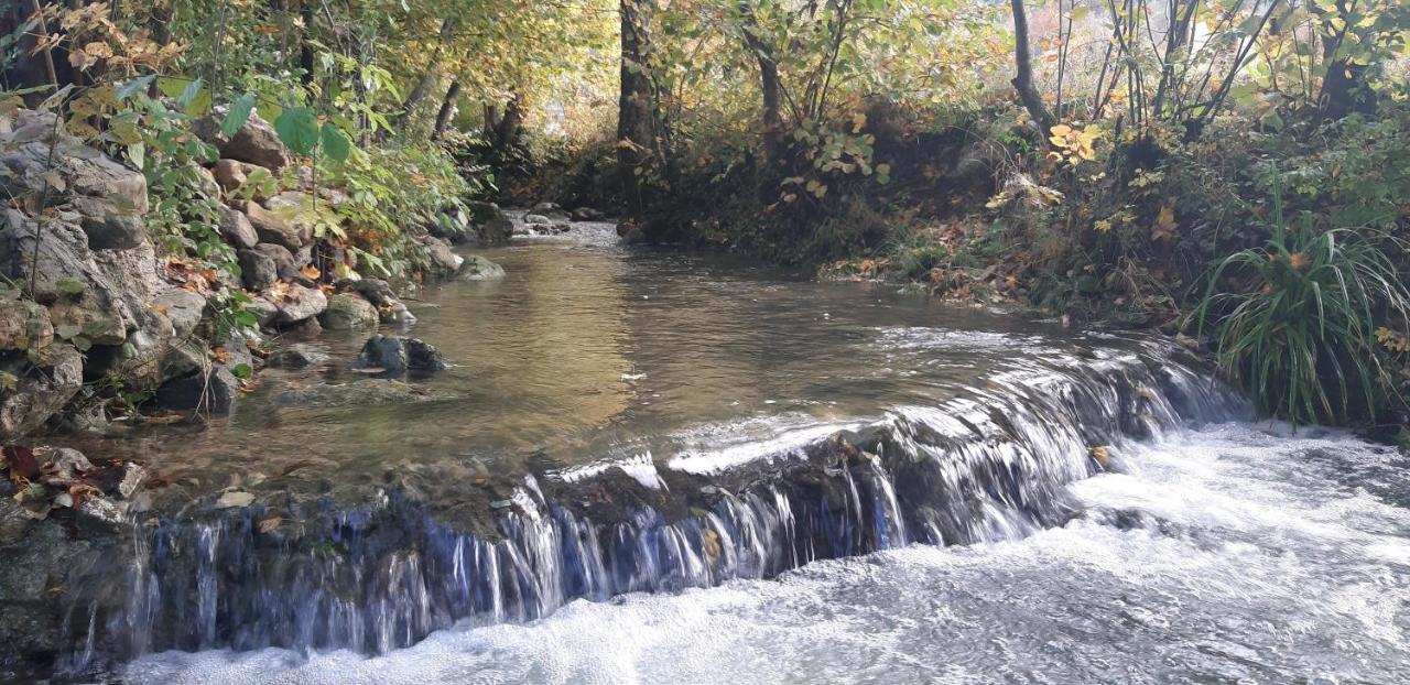 Live Nature Bihac Bagian luar foto