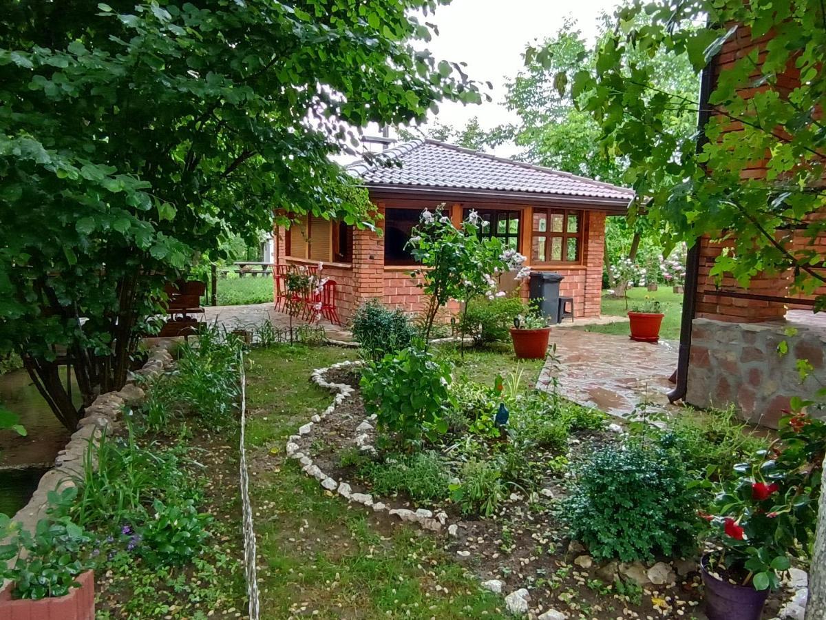 Live Nature Bihac Bagian luar foto