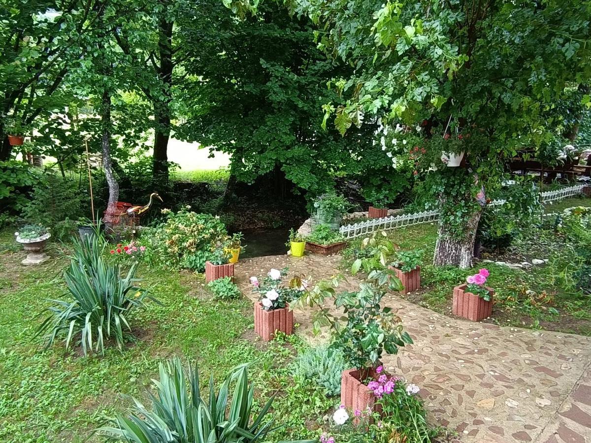 Live Nature Bihac Bagian luar foto