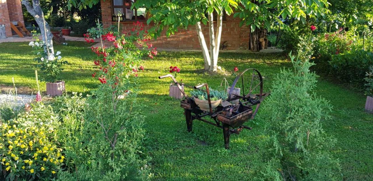 Live Nature Bihac Bagian luar foto
