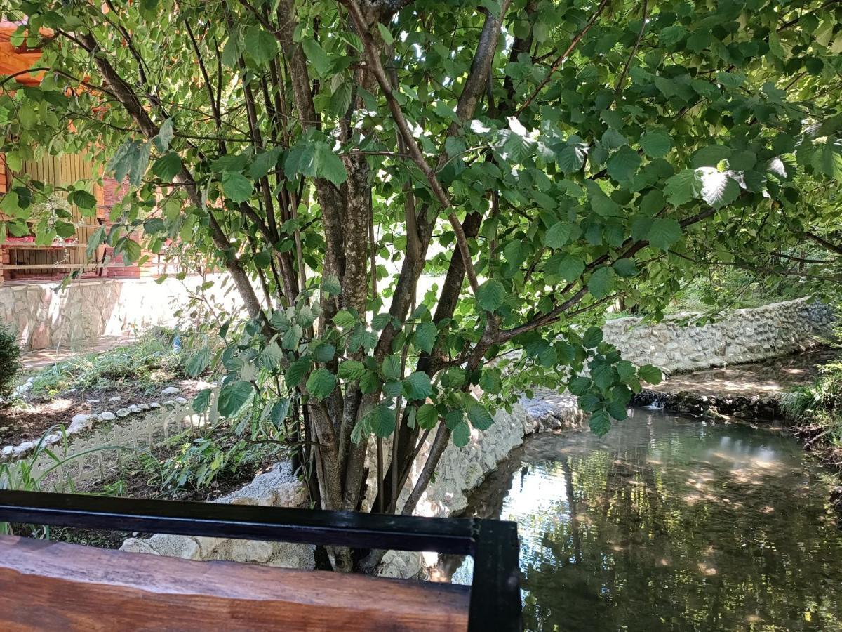 Live Nature Bihac Bagian luar foto