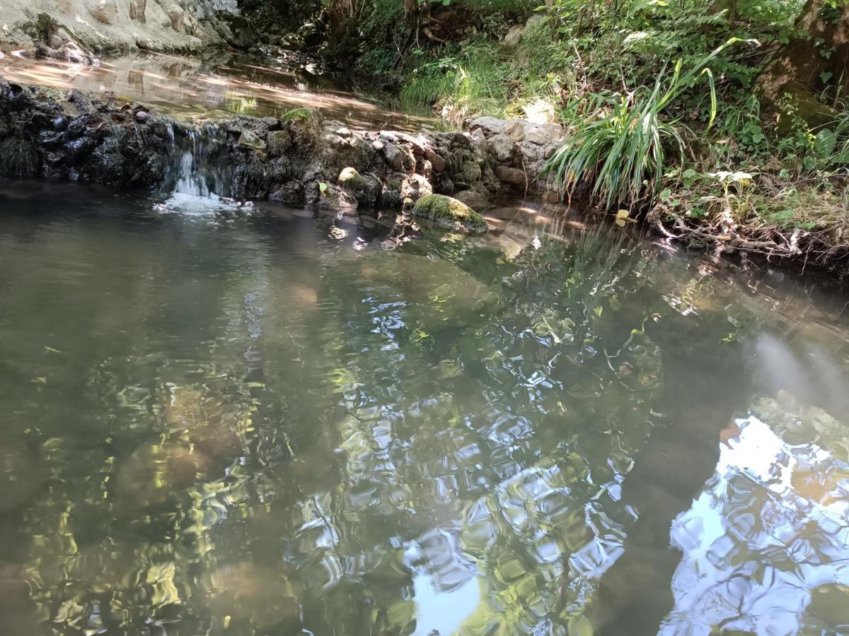 Live Nature Bihac Bagian luar foto