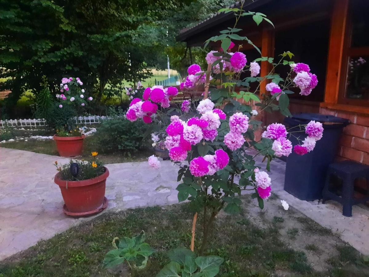 Live Nature Bihac Bagian luar foto