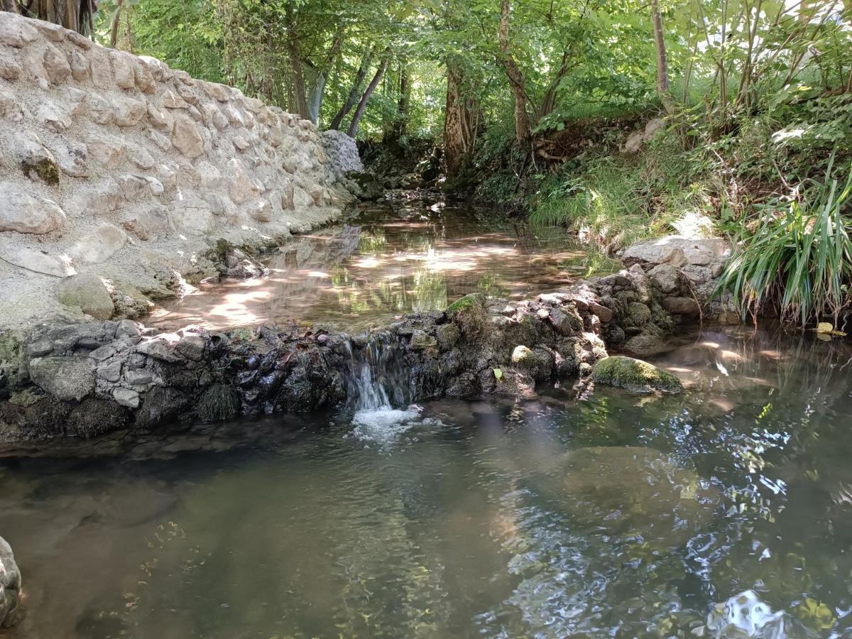 Live Nature Bihac Bagian luar foto