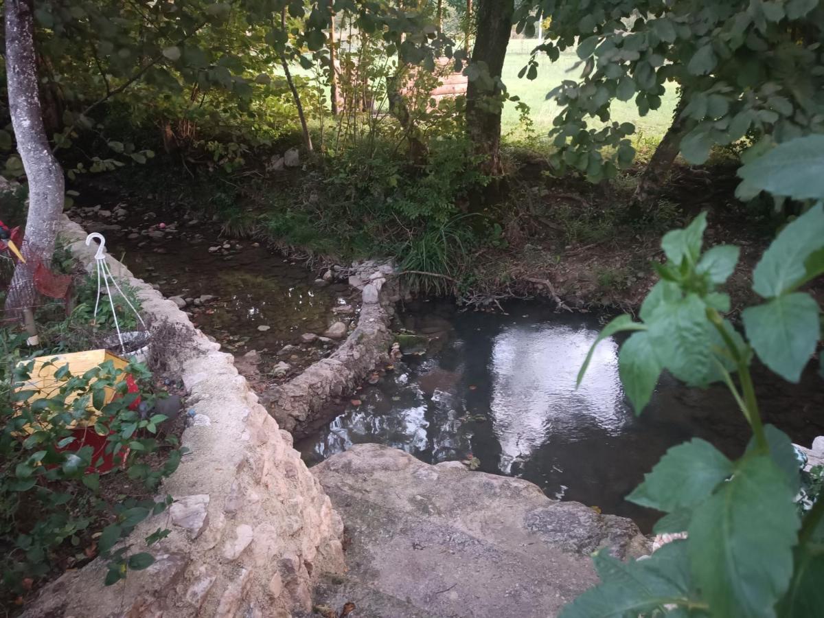 Live Nature Bihac Bagian luar foto