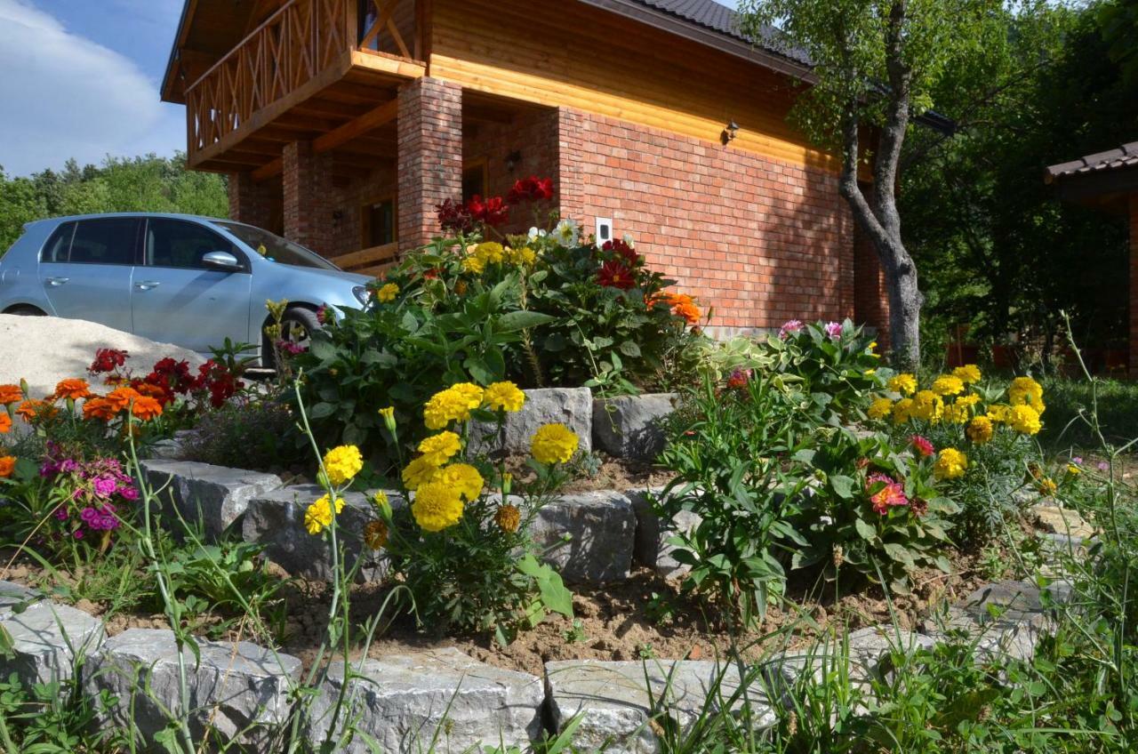 Live Nature Bihac Bagian luar foto