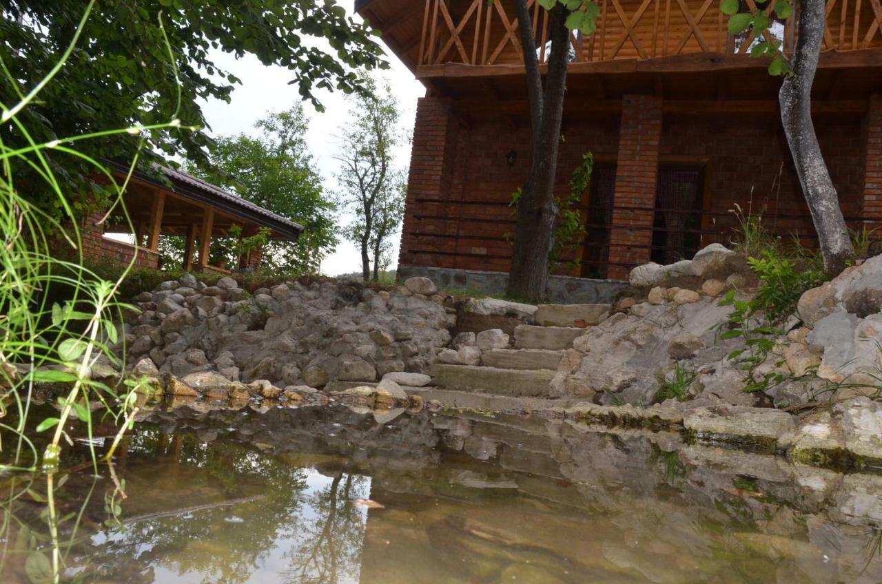 Live Nature Bihac Bagian luar foto
